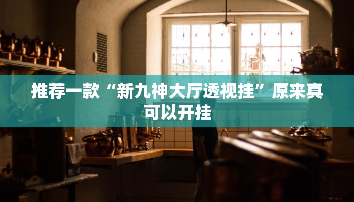 推荐一款“新九神大厅透视挂”原来真可以开挂